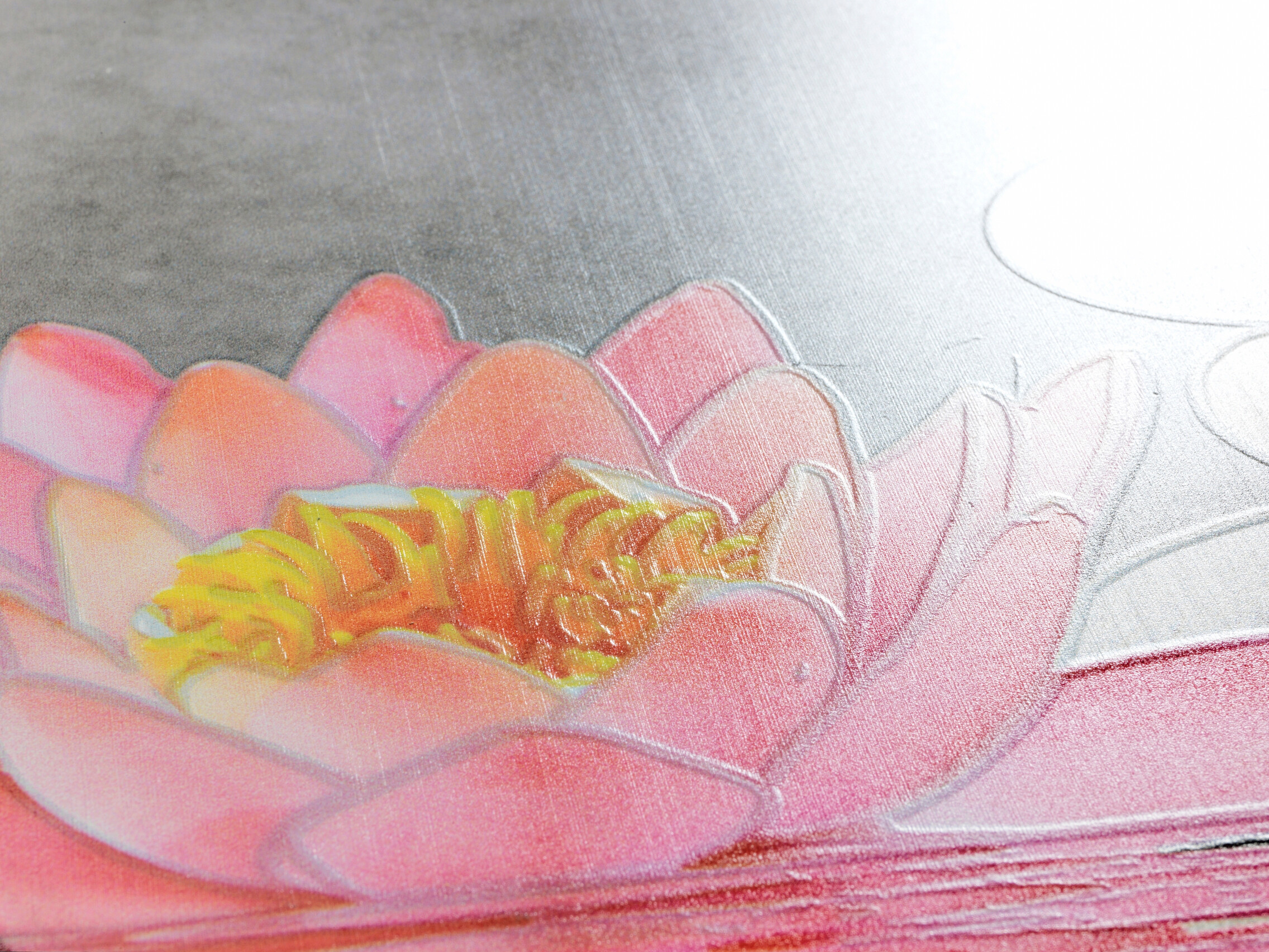 WENKO WC-Sitz Water Lily Thermoplast