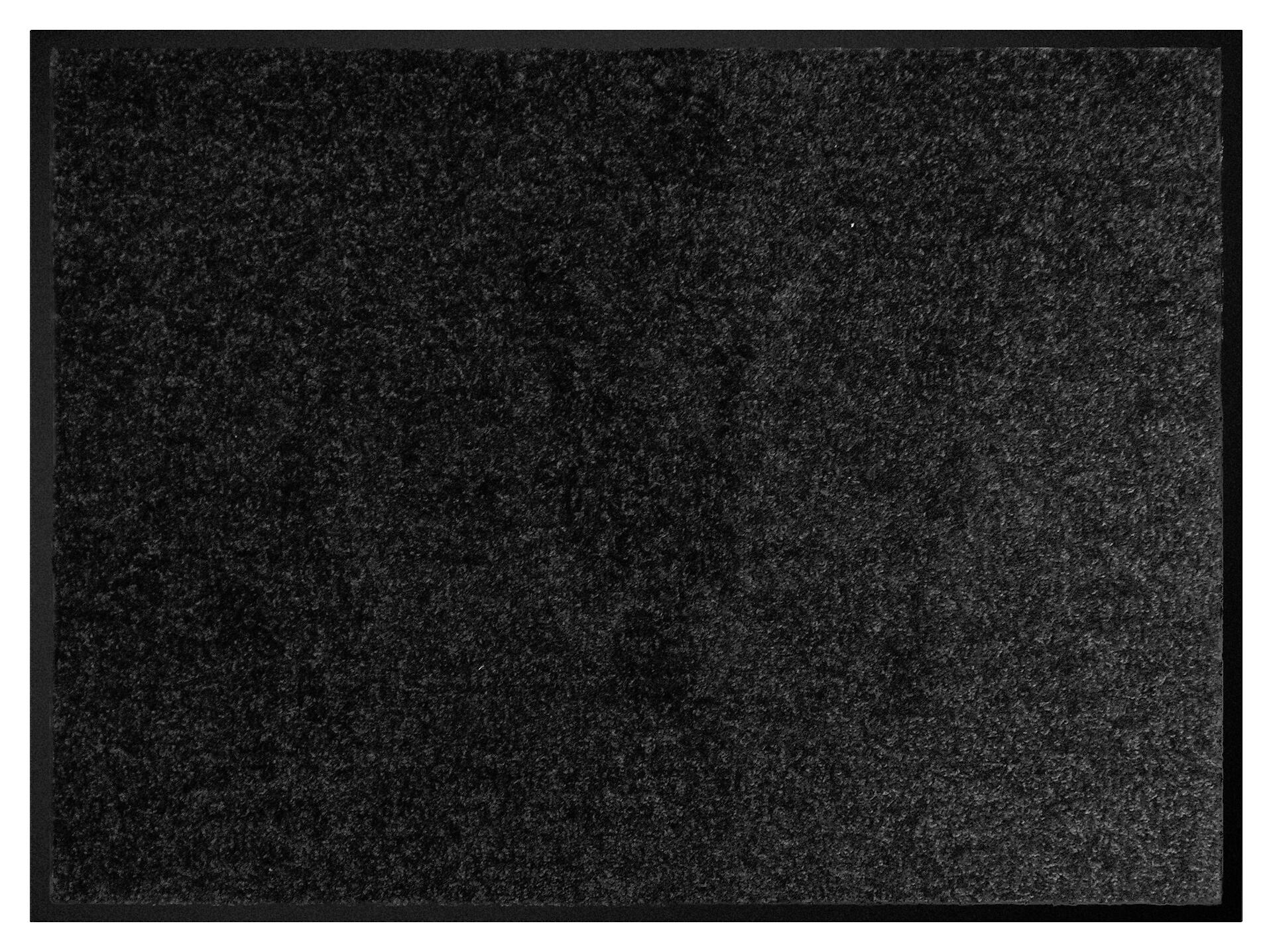 Schmutzfangmatte Alpha schwarz B/L: ca. 40x60 cm