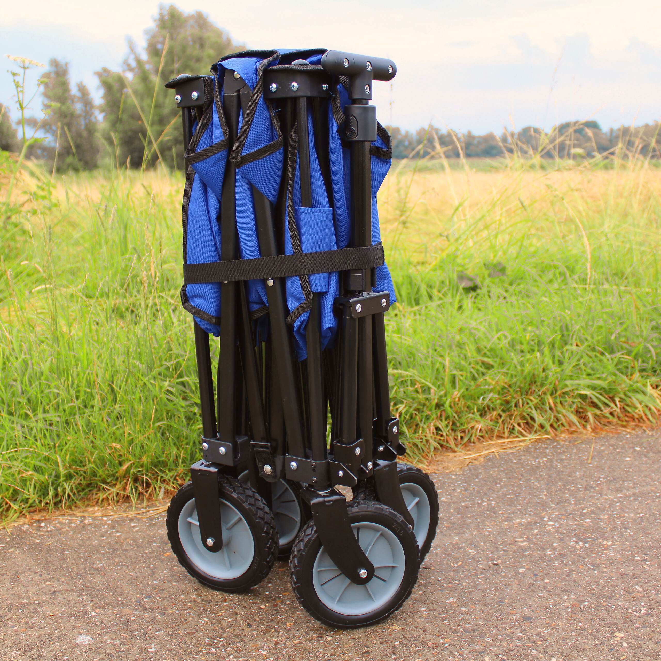 AXI Bollerwagen AB110 blau B/H/L: ca. 50x61x100 cm