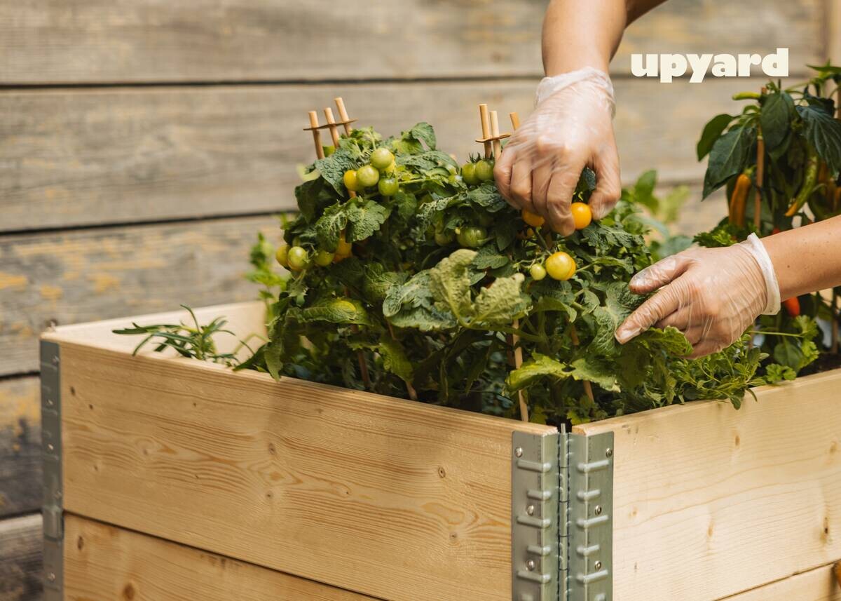 UPYARD Hochbeet INDUSTRIAL natur Holz B/L: ca. 80x120 cm