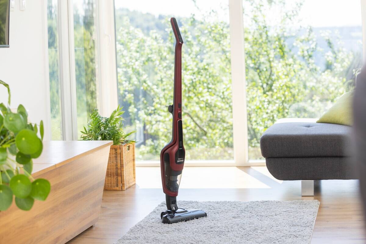 Gorenje Handstaubsauger SVC216100DSIIR rot schwarz Metall Kunststoff B/H/L: ca. 26x118x17 cm