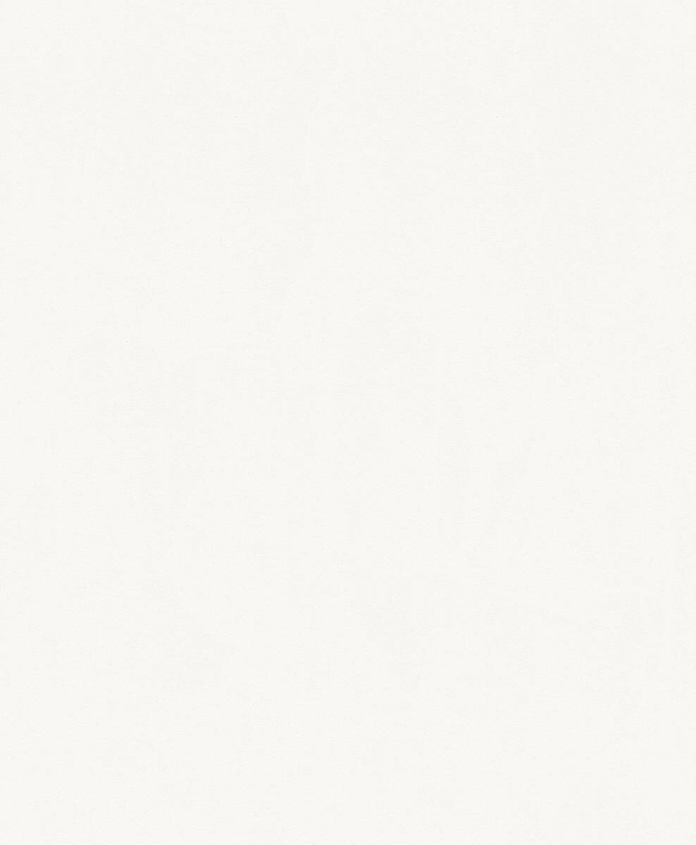 A.S.Creation Vliestapete Björn Uni weiß B/L: ca. 53x1005 cm