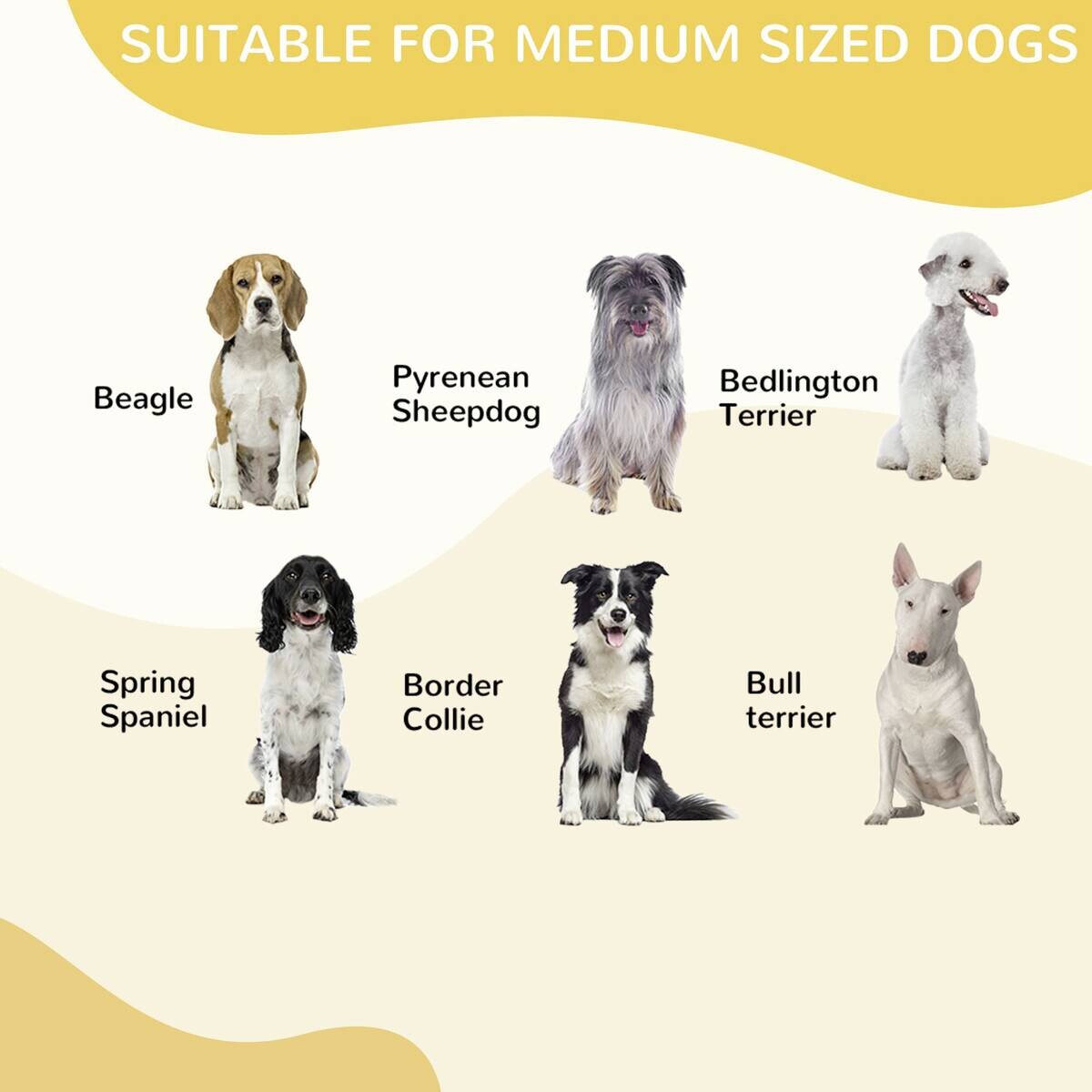 PawHut Welpenauslauf Freigehege schwarz Edelstahl B/H/L: ca. 79x79x100 cm