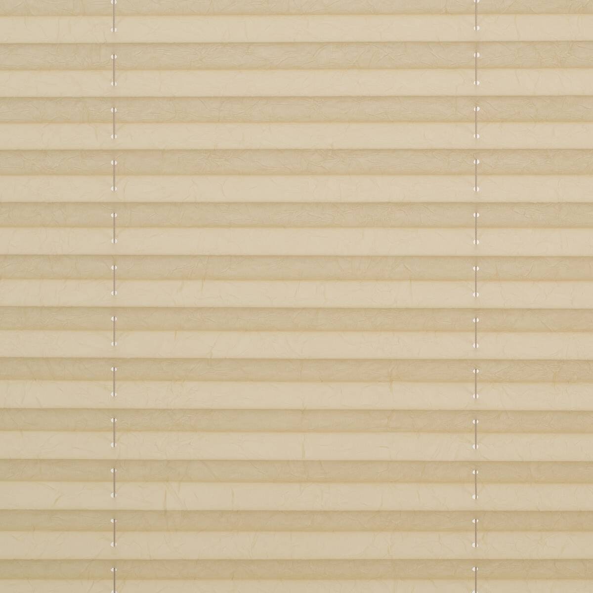 LICHTBLICK Spannplissee creme B/L: ca. 95x130 cm