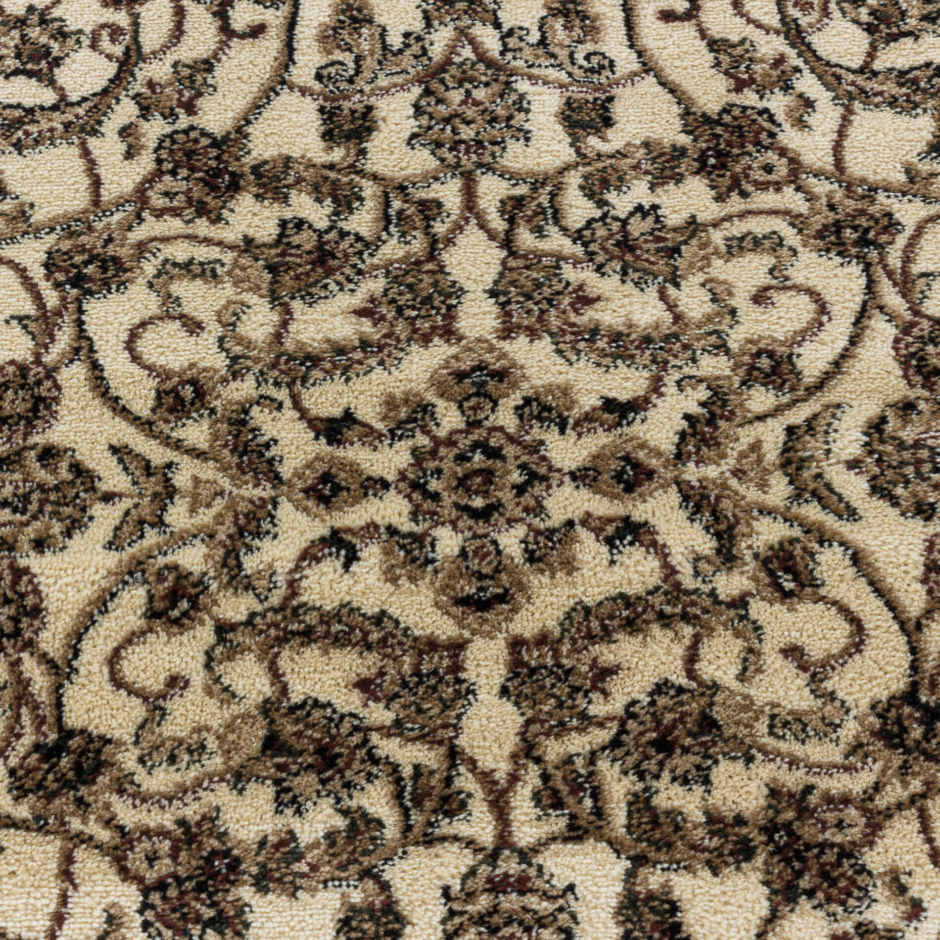 Ayyildiz Teppich KASHMIR creme B/L: ca. 200x290 cm