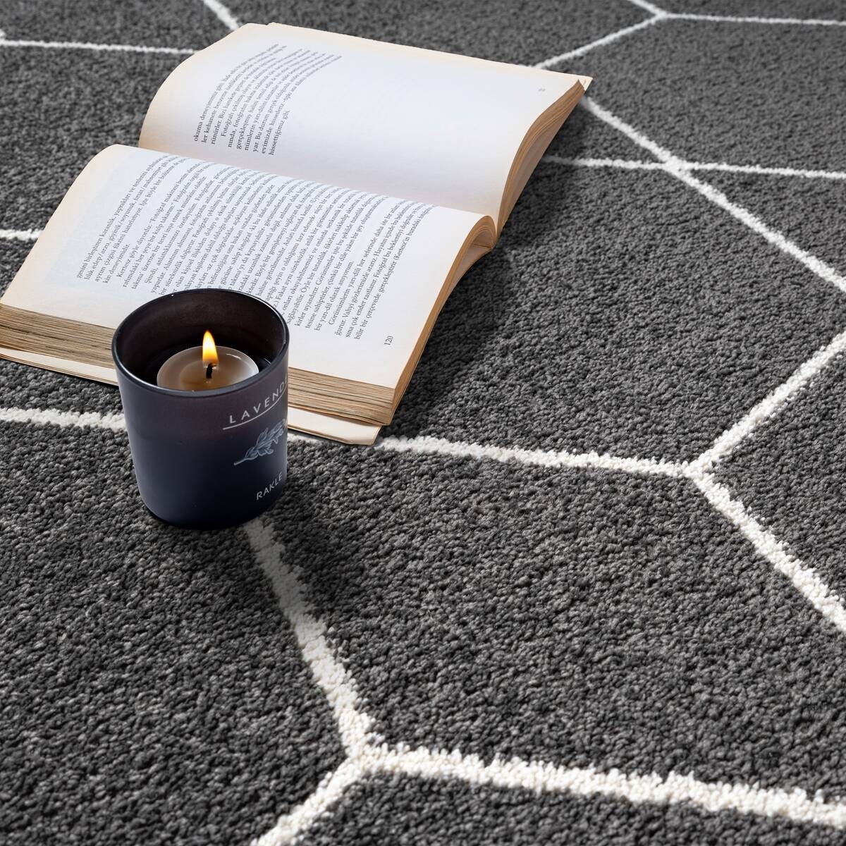 Sanat Teppich Trellis anthrazit B/L: ca. 80x150 cm