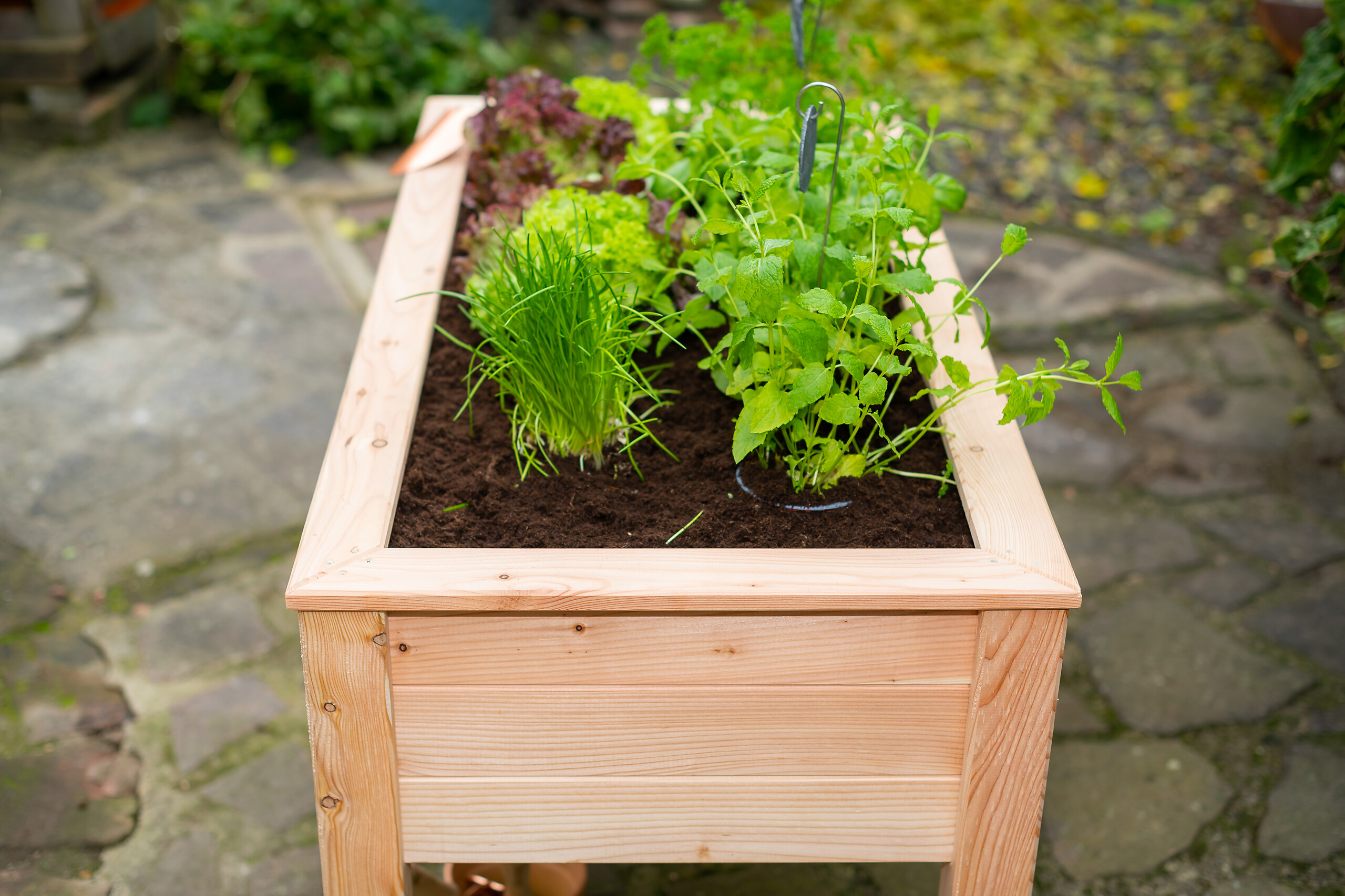 Westmann Stelzenhochbeet natur Lärche H/T/L: ca. 75x65x120 cm