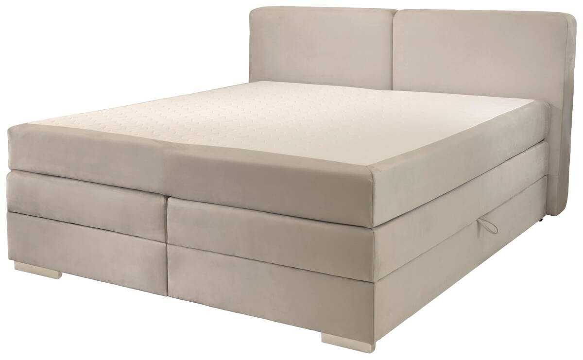 Boxspringbett Happy grau hell Liegefläche B/L: ca. 180x200 cm