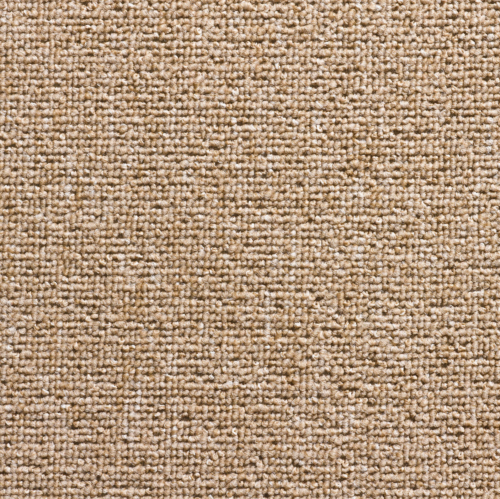 Teppichboden Torpedo dunkelbeige B: ca. 400 cm pro m²