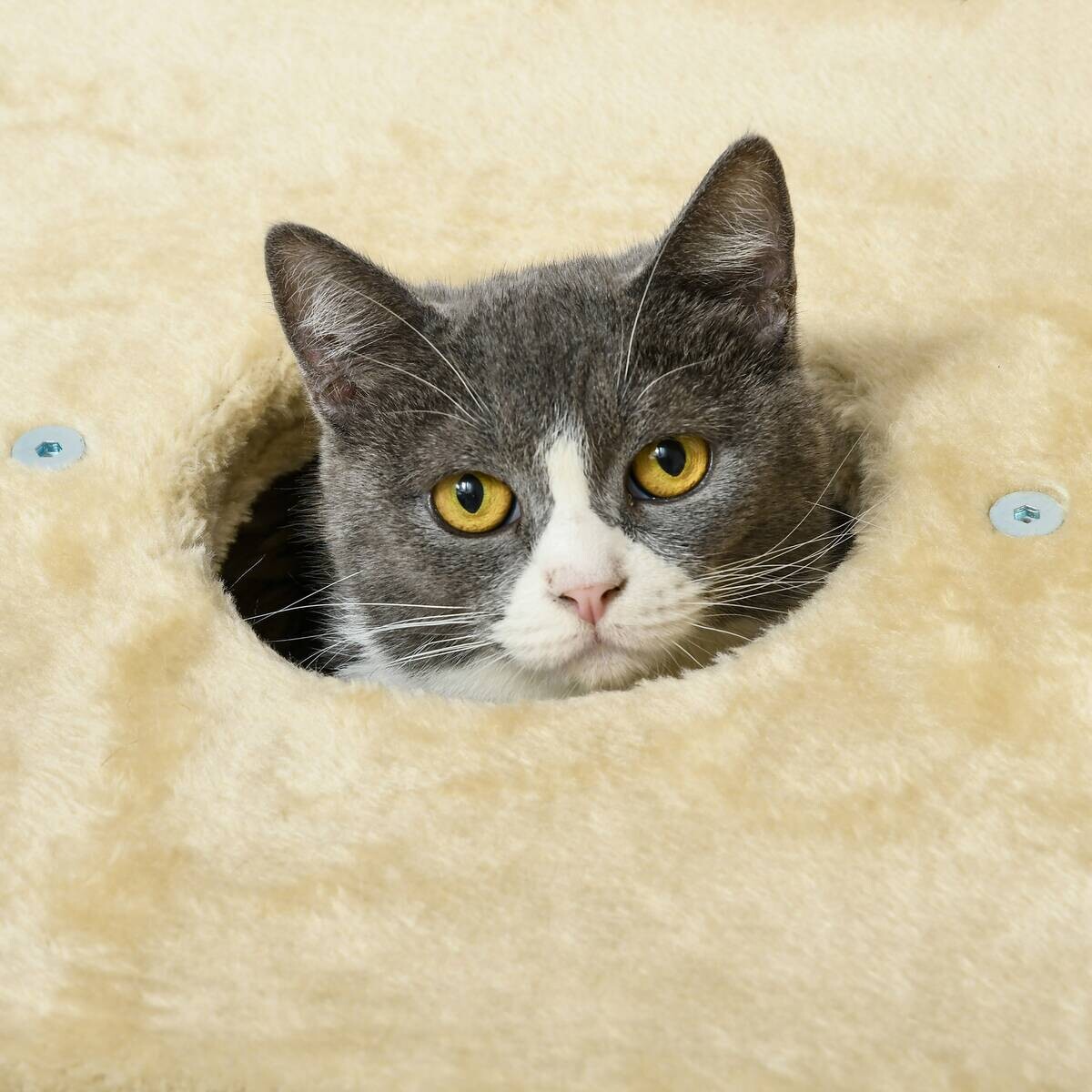 PawHut Kratzbaum beige Plüsch B/H/L: ca. 40x74x45 cm