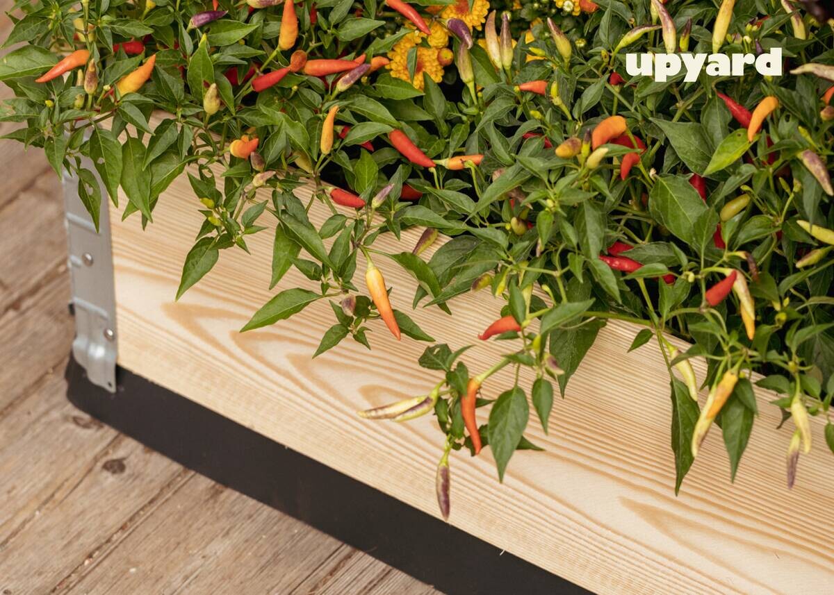 UPYARD Hochbeet INDUSTRIAL natur Holz B/L: ca. 80x120 cm