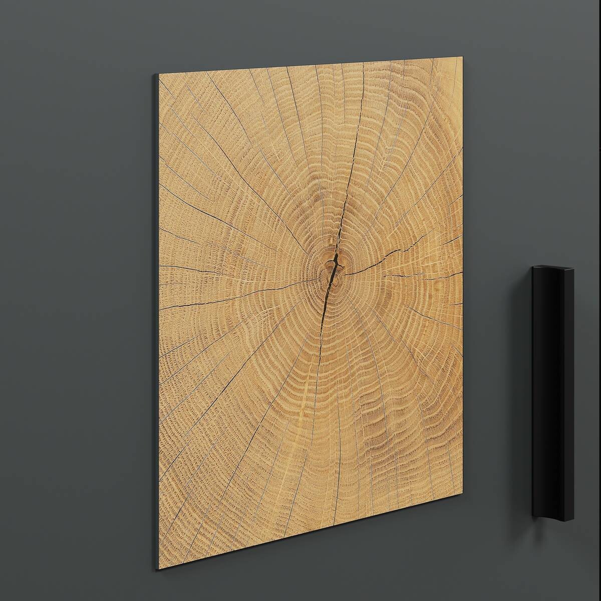 Wohnwand Tyler Eiche Evoke Coast Nachbildung anthrazit B/H/T: ca. 331x206x50 cm