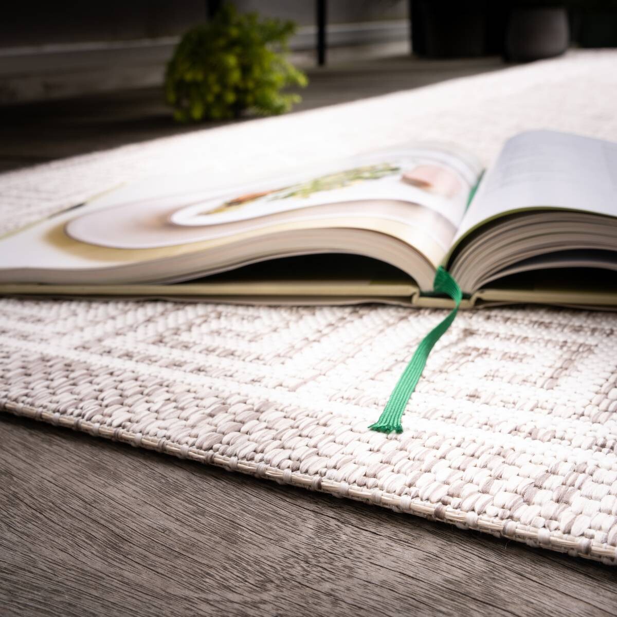 Obsession Teppich My Twilight taupe B/H/T/L/D: ca. 160x0,7x0x230x0 cm