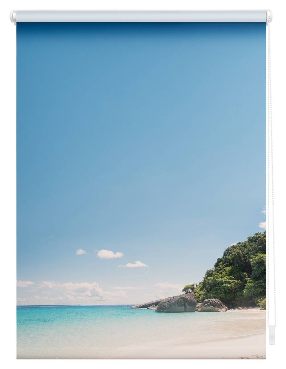 LICHTBLICK Rollo Südseeinsel blau B/L: ca. 120x150 cm