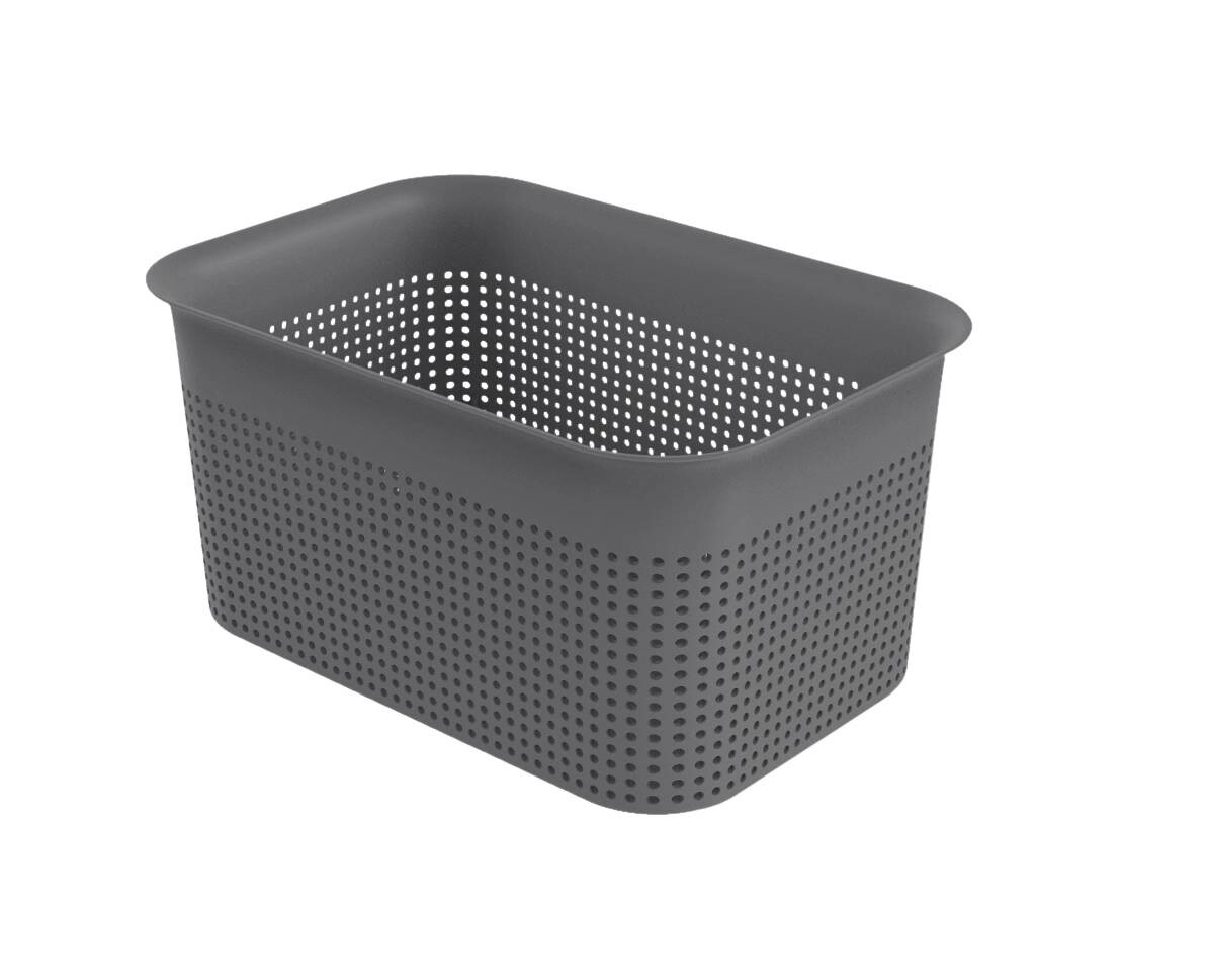 Rotho Aufbewahrungsbox anthrazit B/H/L: ca. 18x13x26 cm