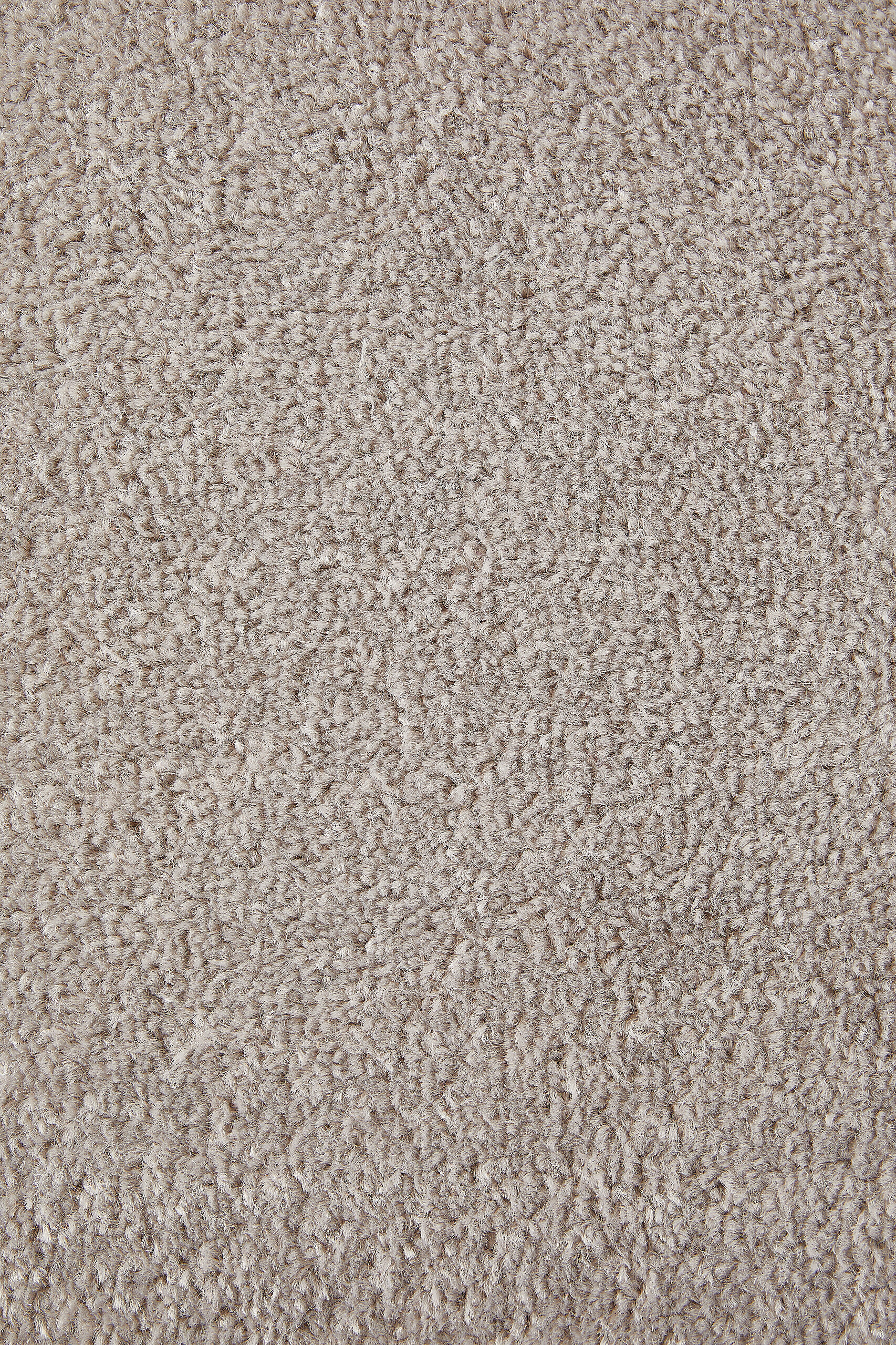 Teppichboden Sara grau B/L: ca. 200x400 cm pro Stück