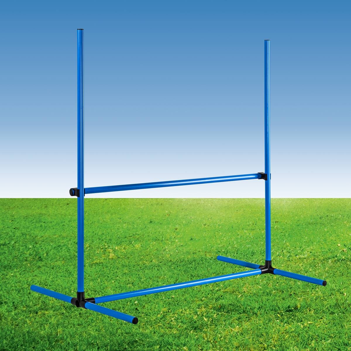 HI Agility Hürdenset blau Kunststoff B/H/L: ca. 65x95x95 cm