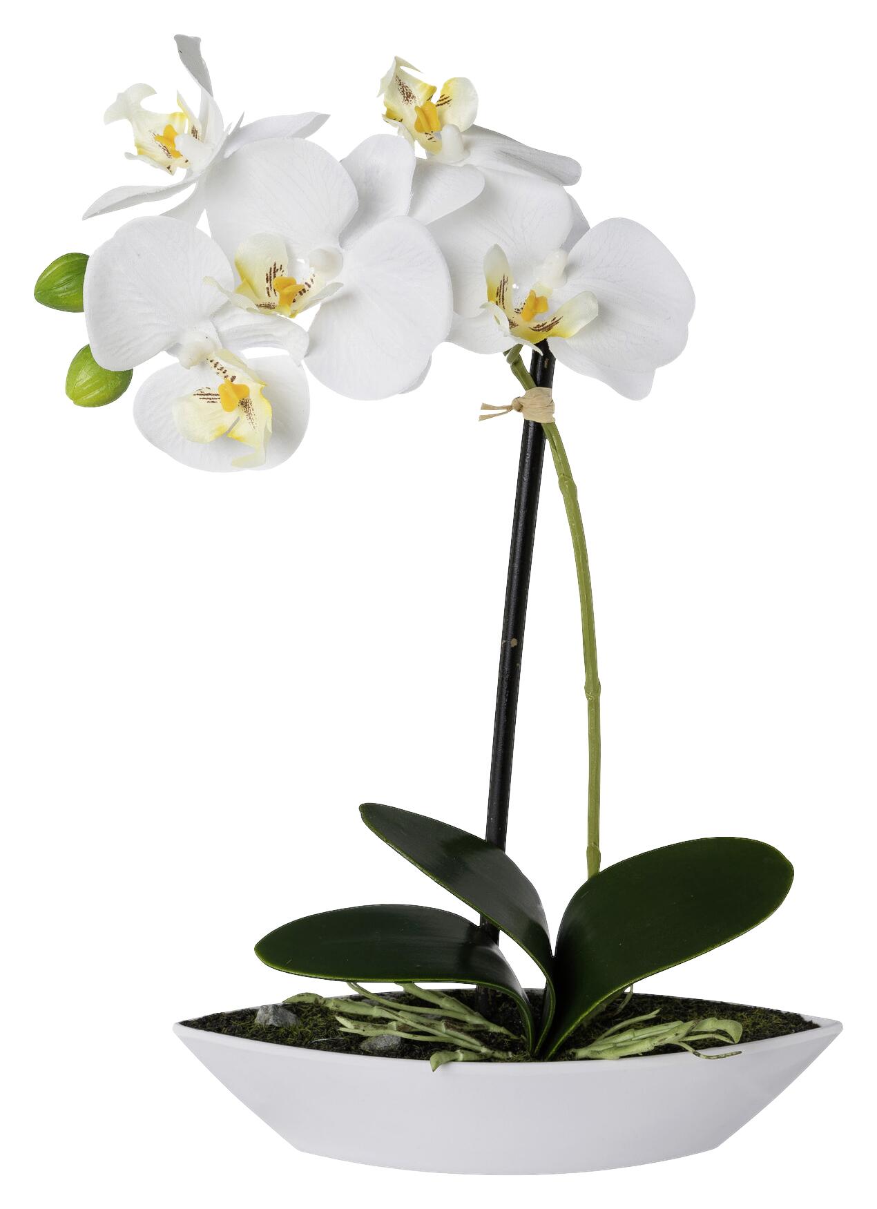 Orchidee weiß Kunststoff H: ca. 30 cm