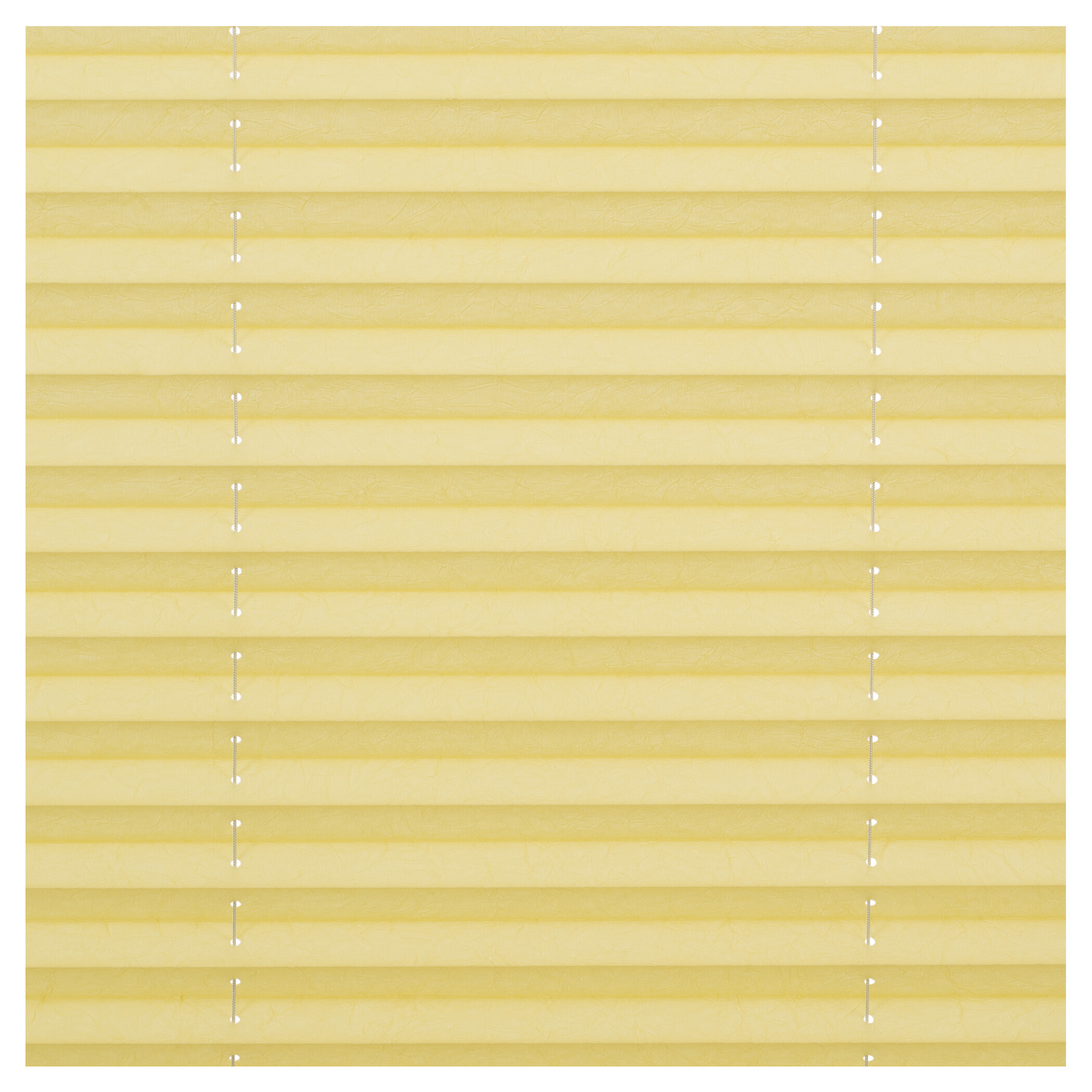 LICHTBLICK Spannplissee gelb B/L: ca. 55x130 cm