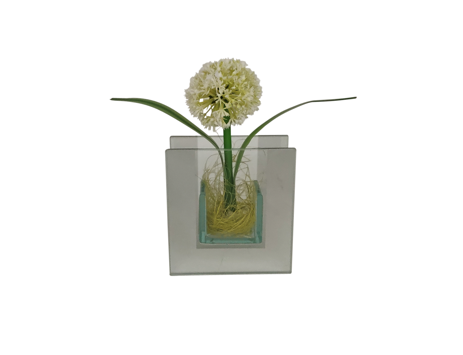 POCOline Vase klar Glas B/H/L: ca. 4x9x8,5 cm