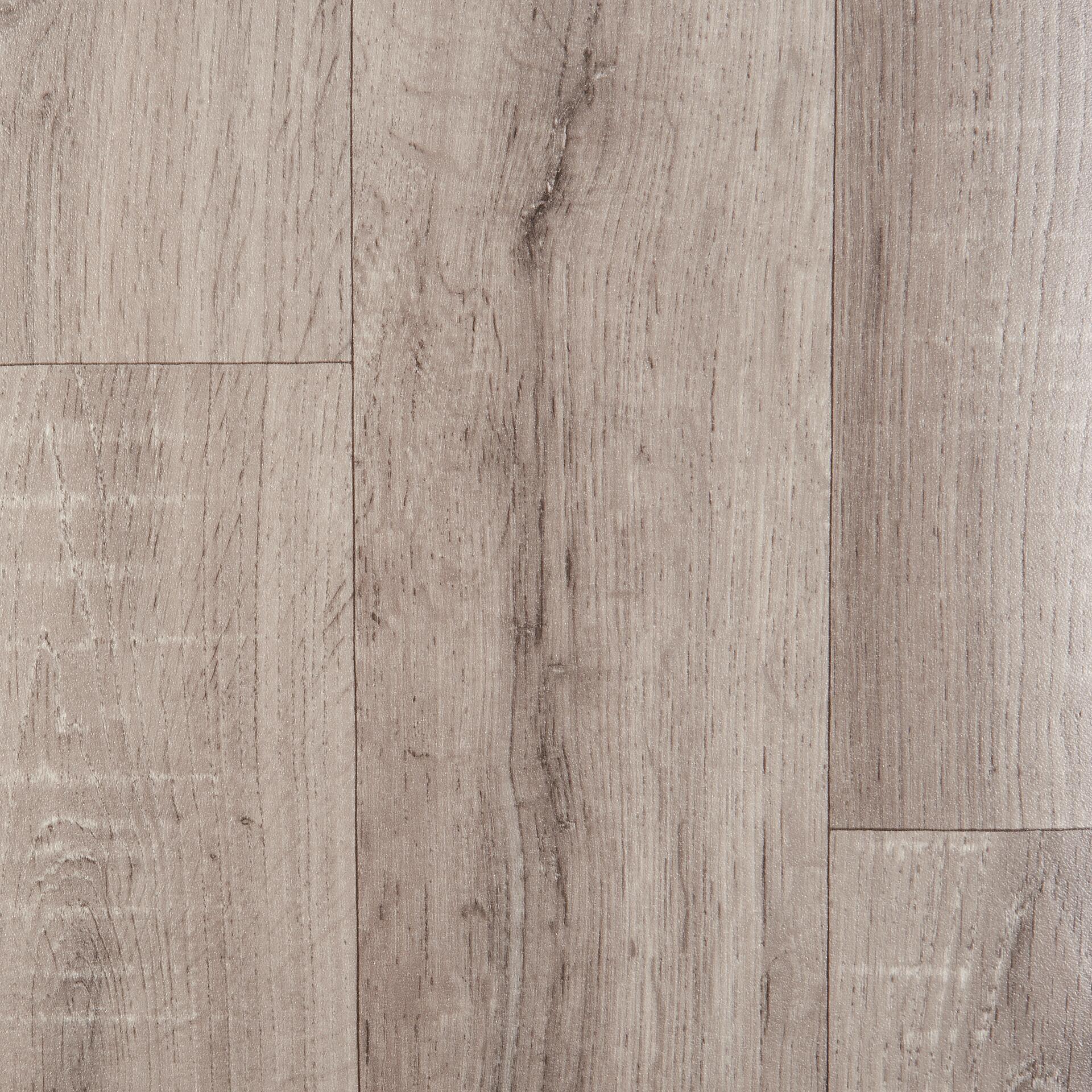 Vinylboden Bingo grau Eiche B: ca. 400 cm pro m²