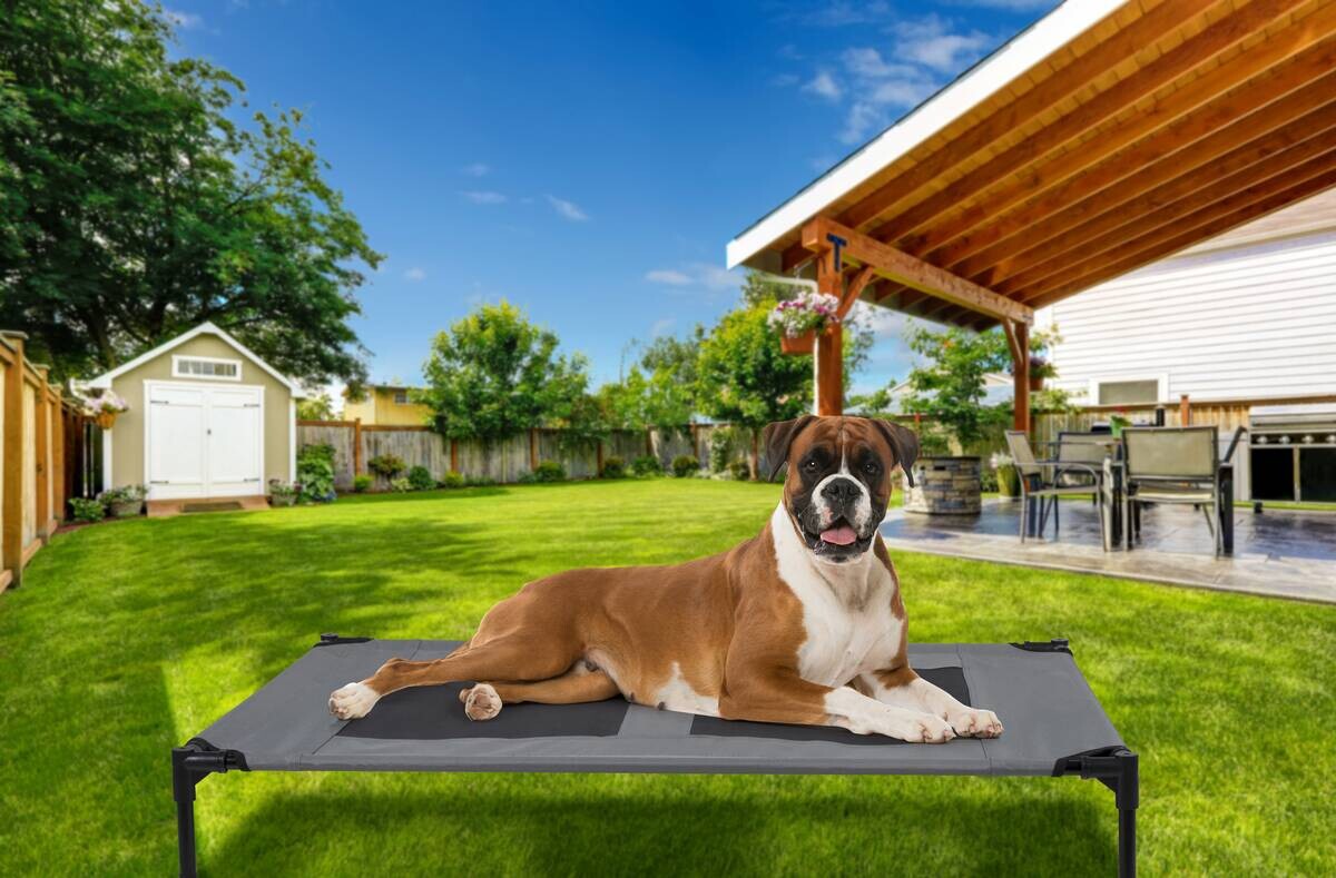 Pet Comfort Haustierbett grau Polyester B/H/L: ca. 106x17x76 cm