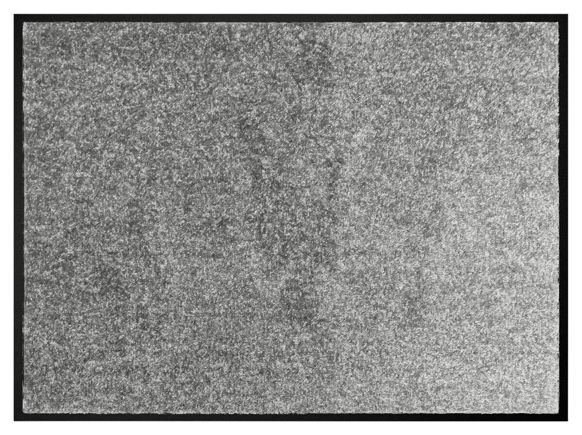 Schmutzfangmatte Alpha grau B/L: ca. 80x120 cm