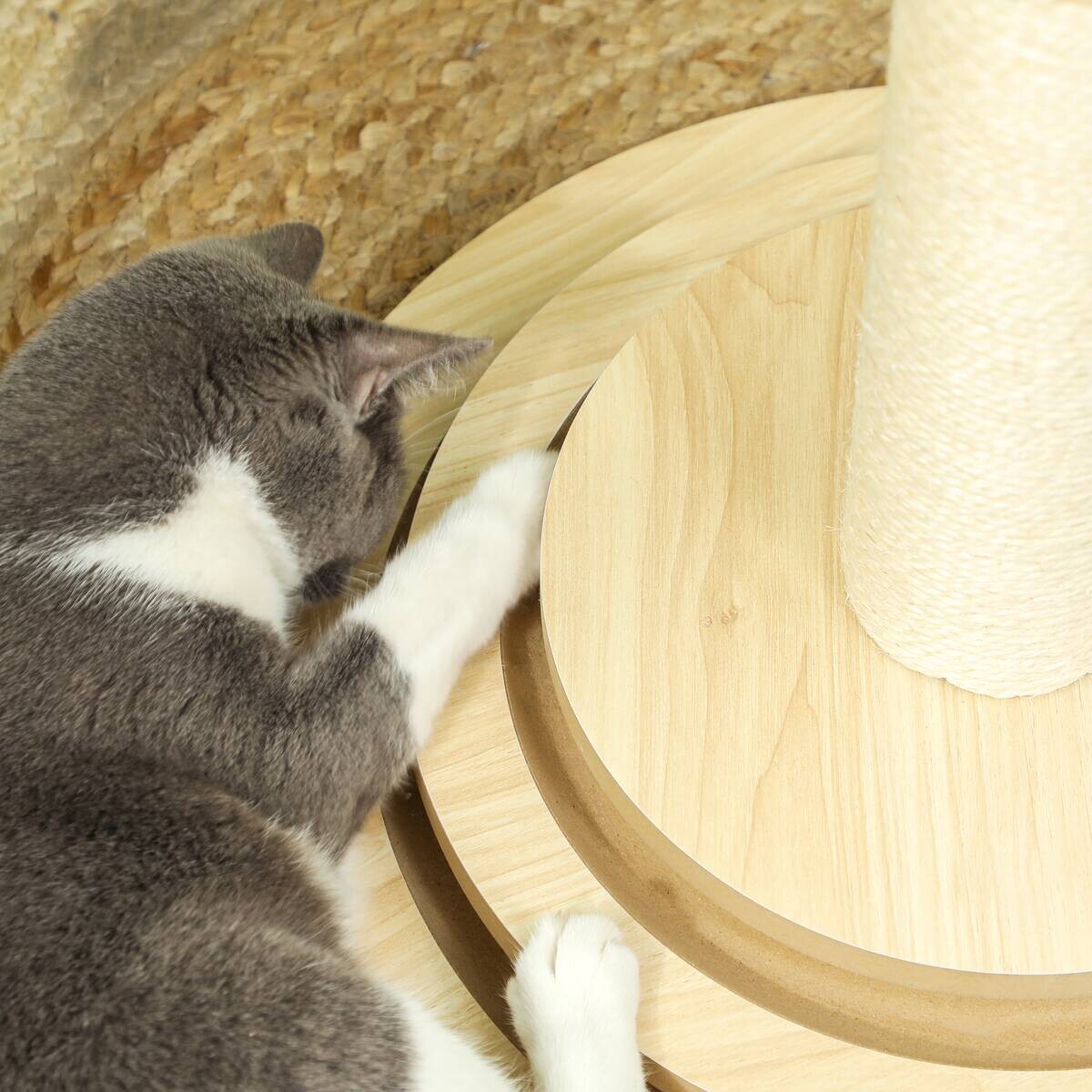 PawHut Kratzstamm Eiche Sisal B/H/L: ca. 45x69x45 cm