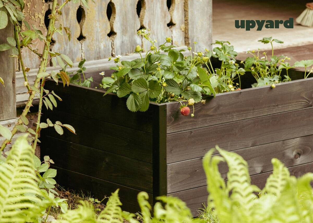 UPYARD Hochbeet MODERN schwarz Holz B/H/L: ca. 60x40x80 cm