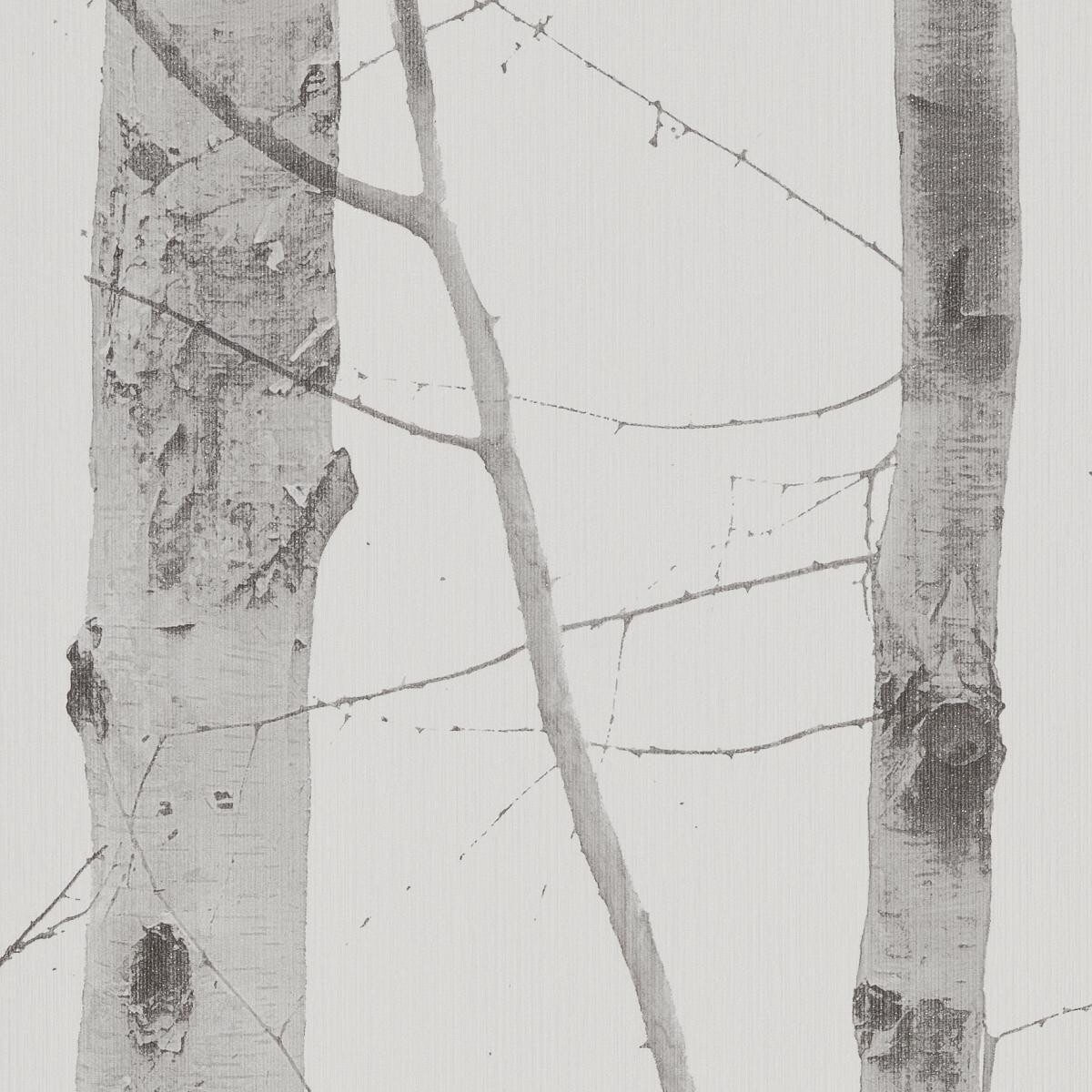 Vliestapete Birkenwald grau creme B/L: ca. 53x1005 cm