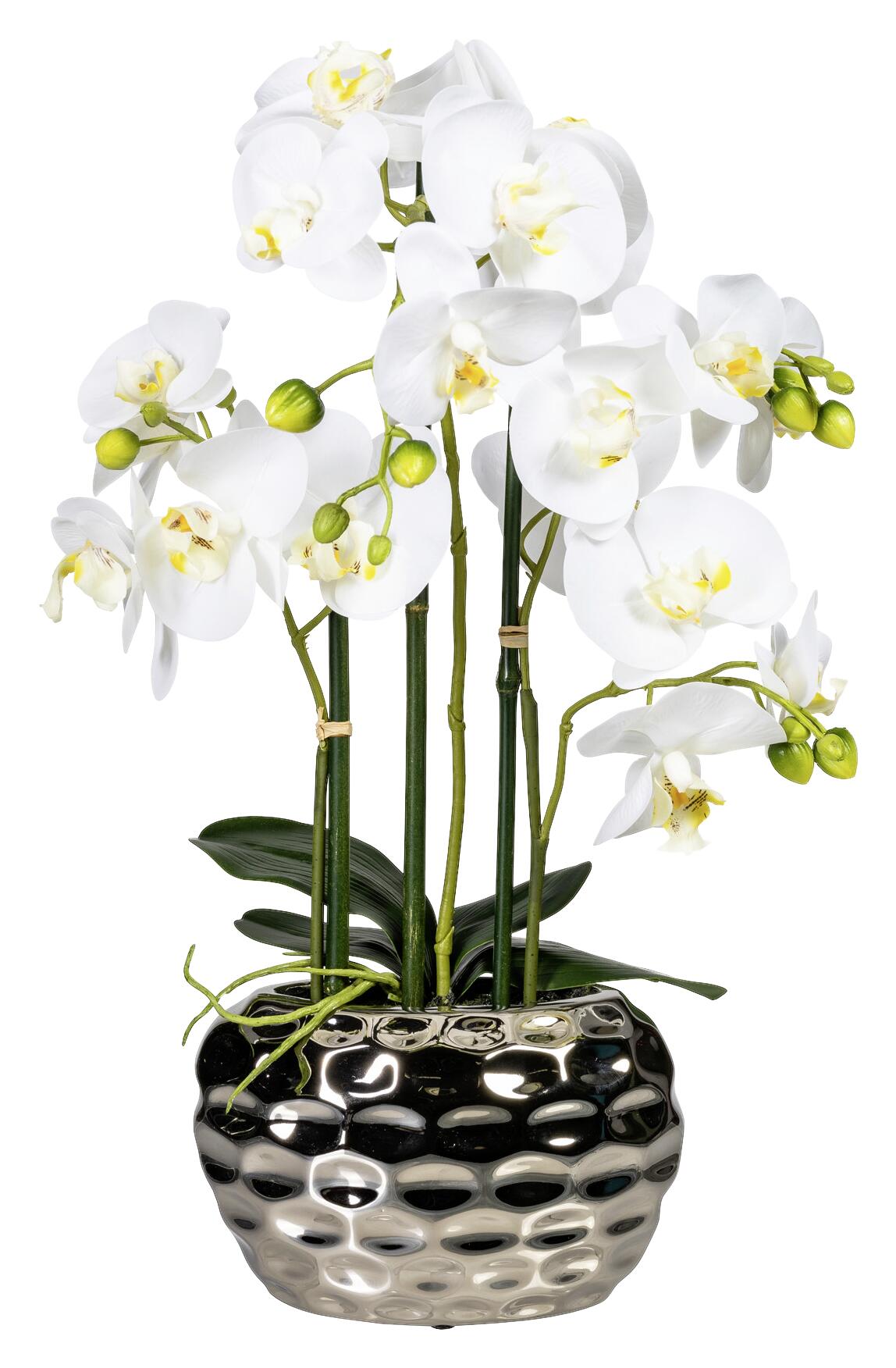 Orchidee weiß Kunststoff H: ca. 55 cm