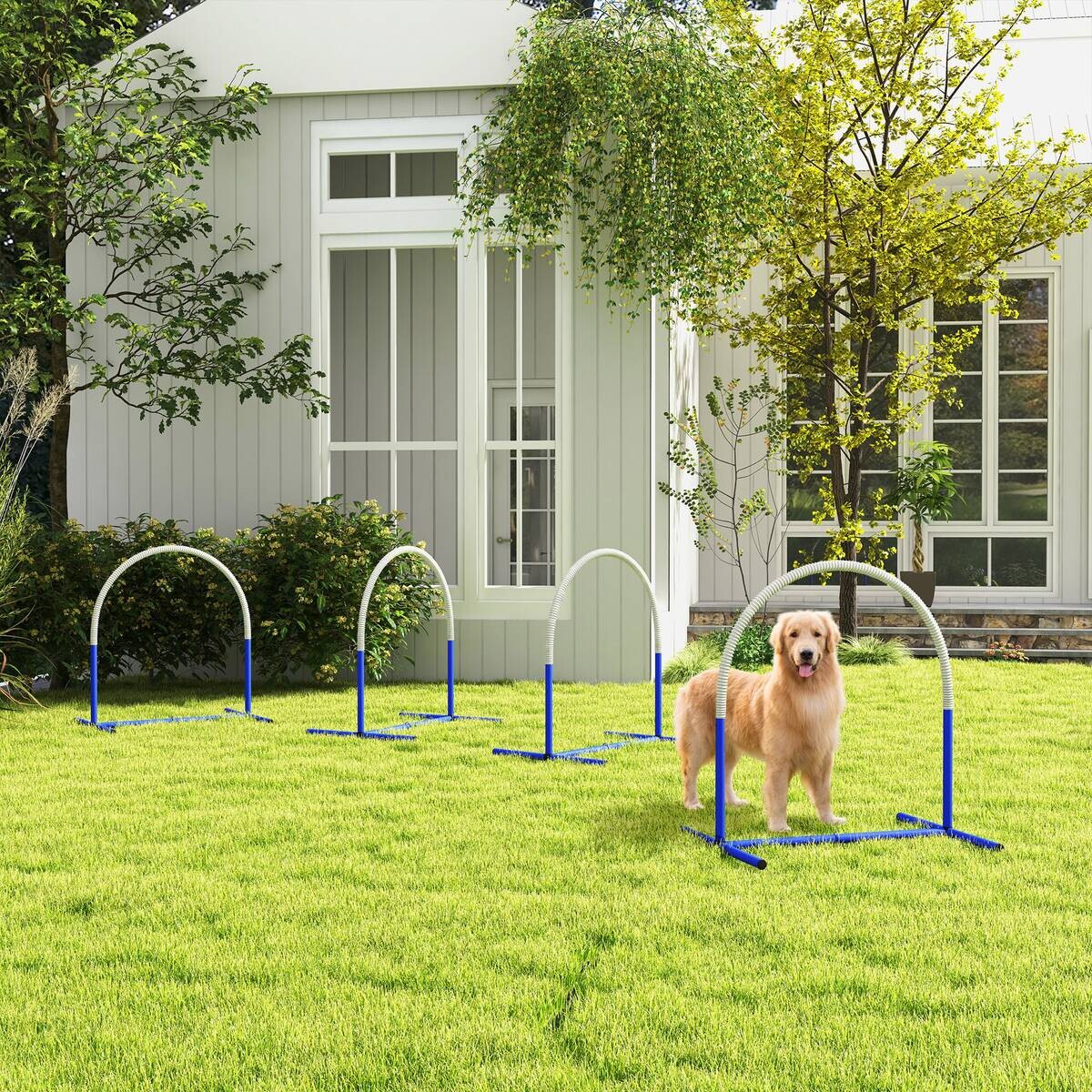 PawHut Hunde-Agility-Set blau Kunststoff B/H/L: ca. 64x95x88 cm