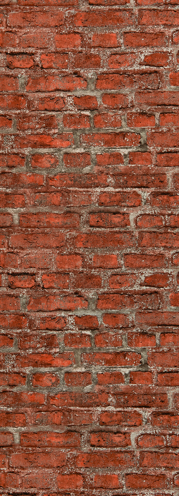 Vliestapete B/L: ca. 53x1005 cm