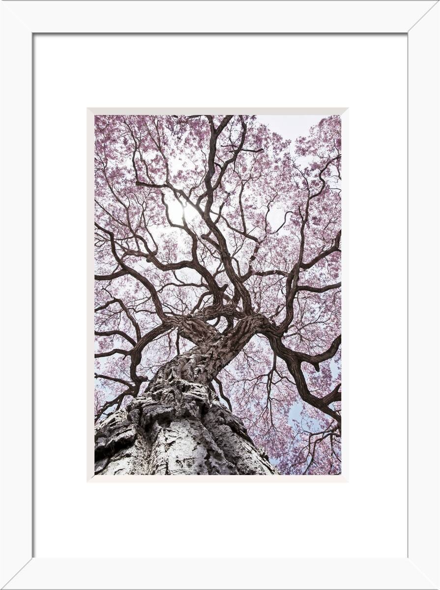 Bilderrahmen weiß Holz B/L: ca. 15x21 cm