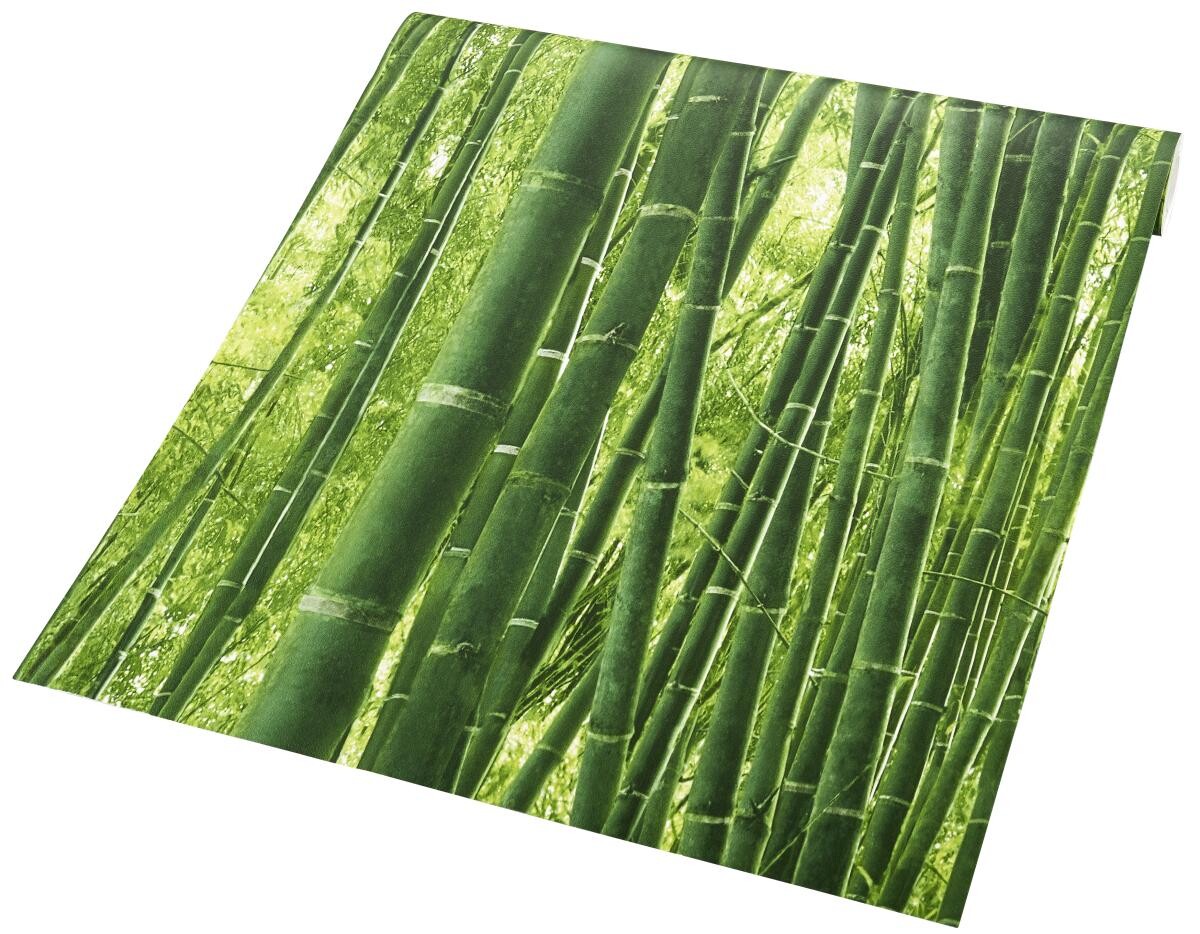 Papiertapete Bambus grün B/L: ca. 53x1005 cm