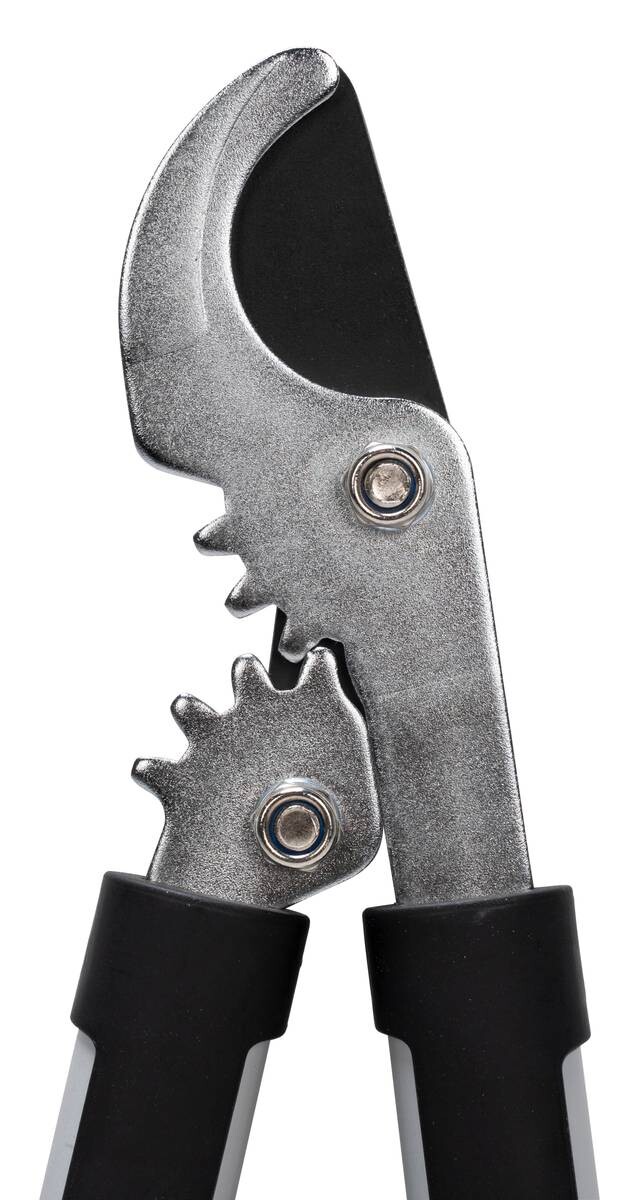 Astschere L: ca. 41 cm