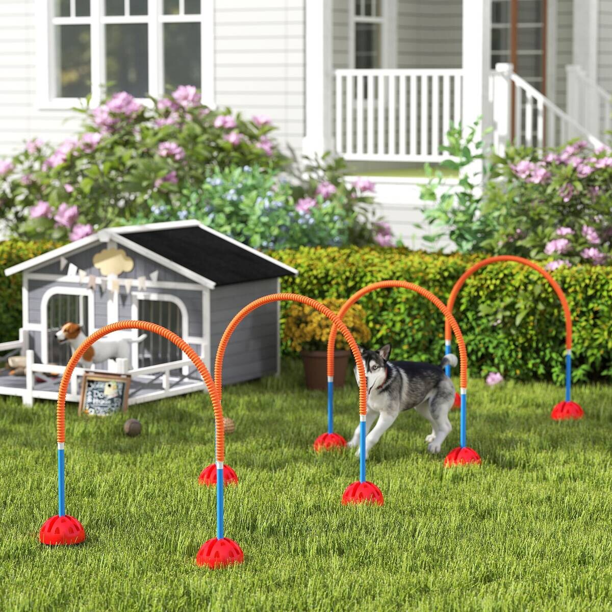 PawHut Hund Agility Set blau Kunststoff B/H/L: ca. 19,5x95x100 cm