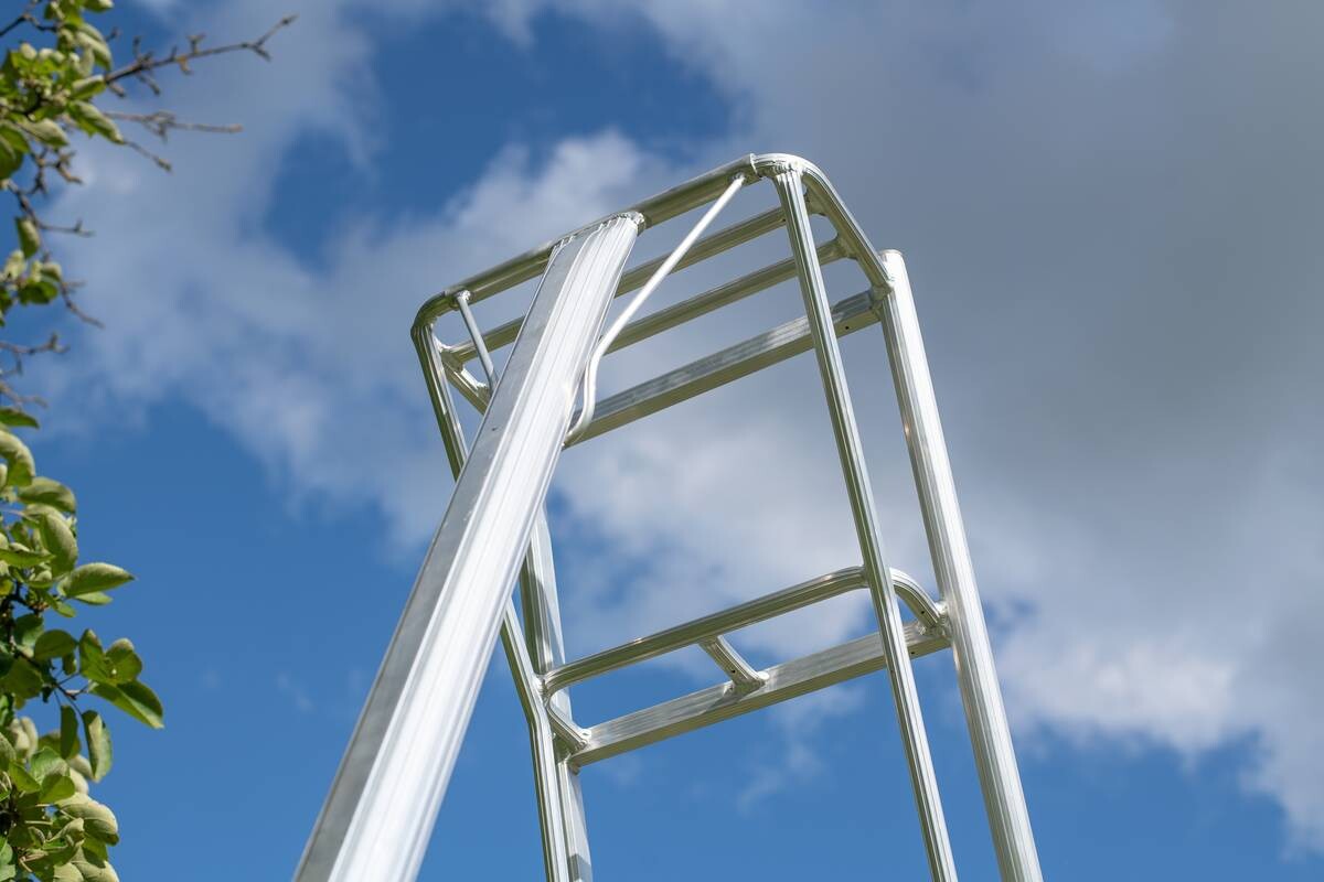 Niwaki Gartenleiter 3-Holm 3-Holm silber B/H: ca. 147x300 cm