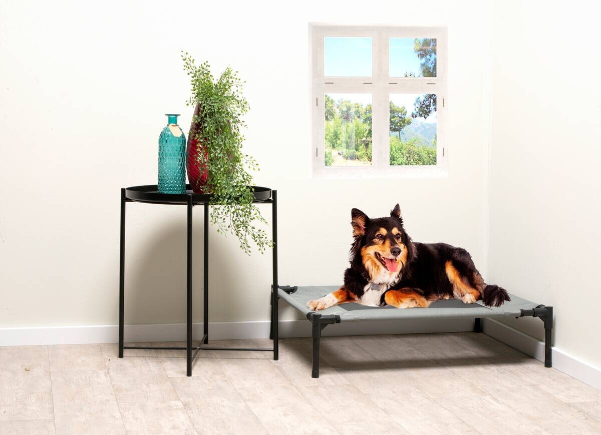 Pet Comfort Haustierbett grau Polyester B/H/L: ca. 81x17x64 cm