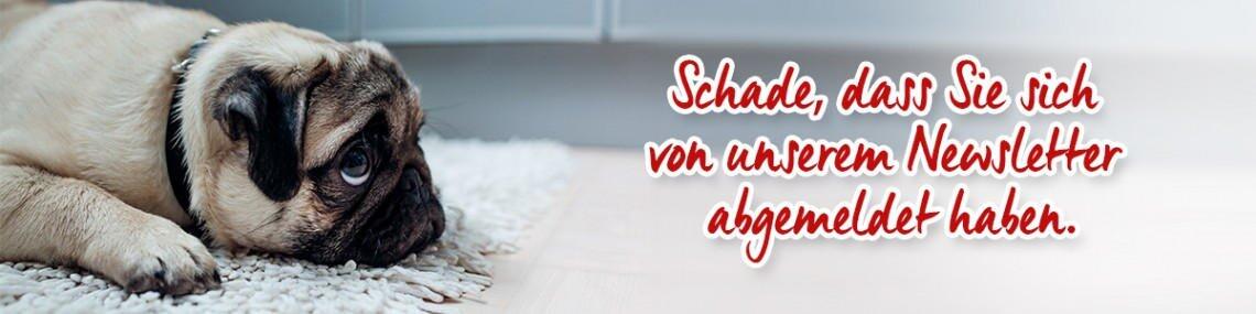 Schade, dass Sie sich von unserem Newsletter abgemeldet haben.