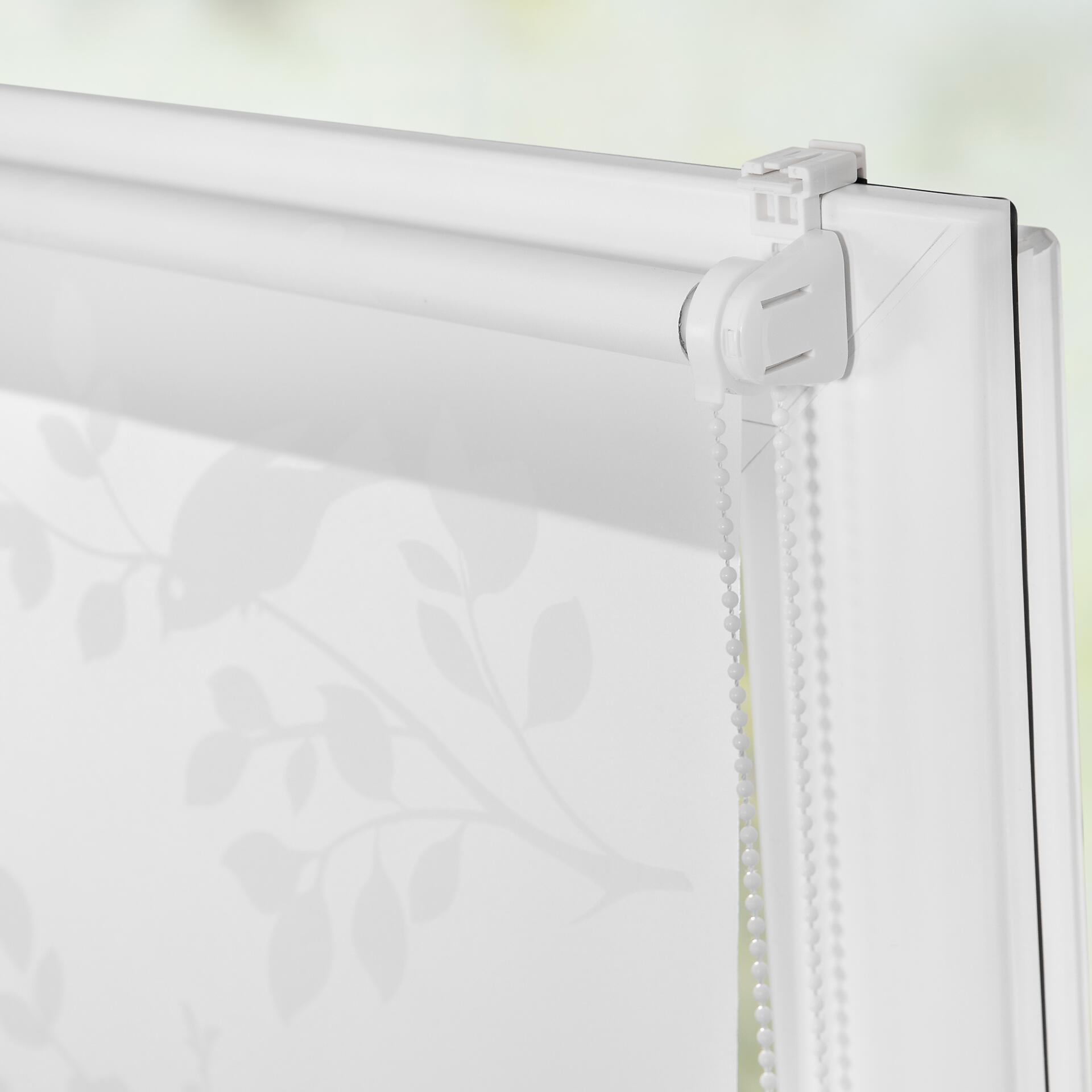 LICHTBLICK Rollo Pflanze weiß B/L: ca. 80x150 cm