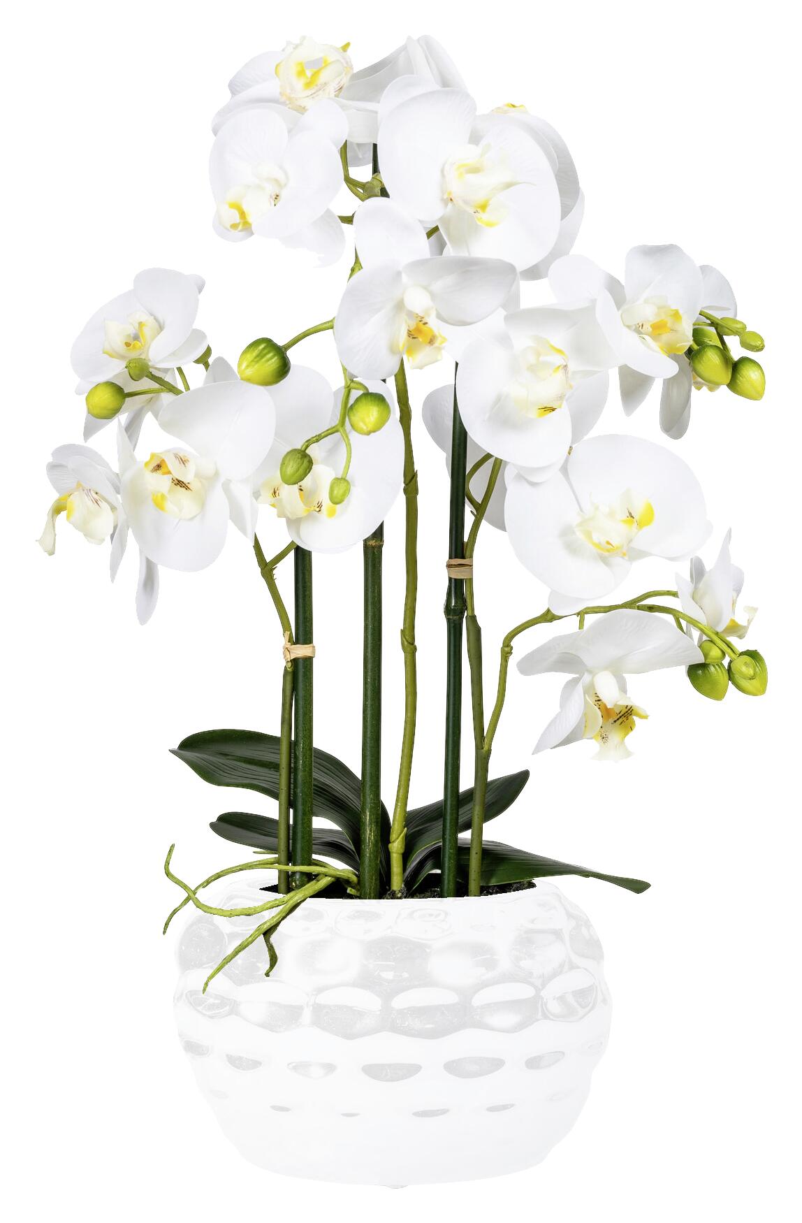 Orchidee weiß Kunststoff H: ca. 55 cm