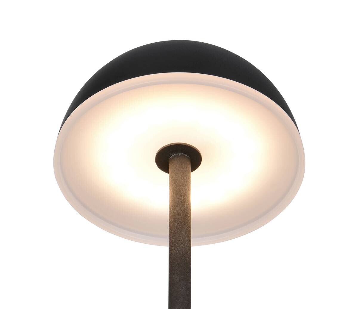 Reality Leuchten LED-Tischleuchte Tembo schwarz Kunststoff B/L: ca. 11x28,3 cm