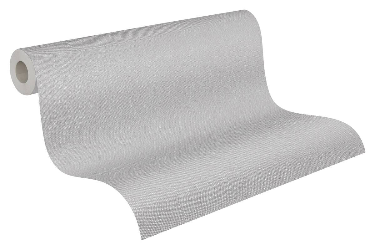 A.S.Creation Vliestapete Terra Uni grau B/L: ca. 53x1005 cm