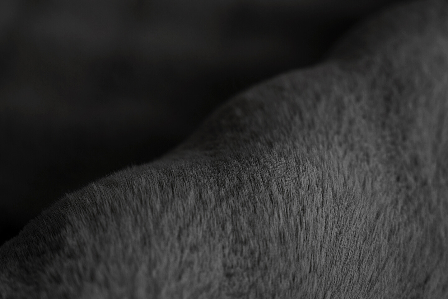 Padiro Hochflorteppich Hailey 125 schwarz B/H/L: ca. 80x3x150 cm