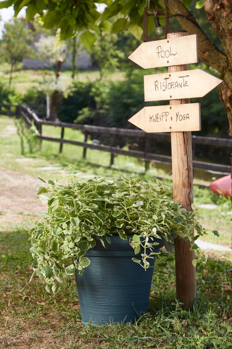 ProGarden Pflanztopf grau Kunststoff H/D: ca. 35x38 cm