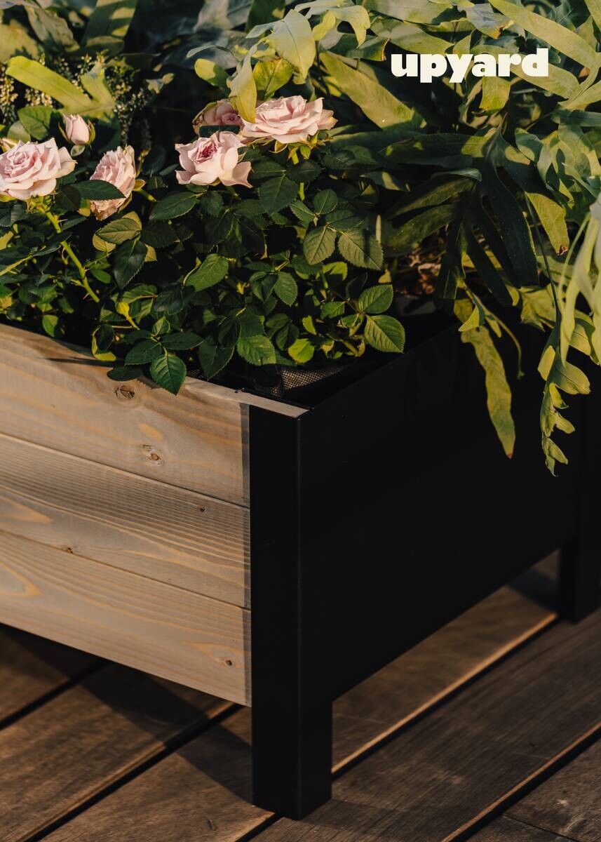 UPYARD Hochbeet MODERN grau Holz B/H/L: ca. 36x32x36 cm