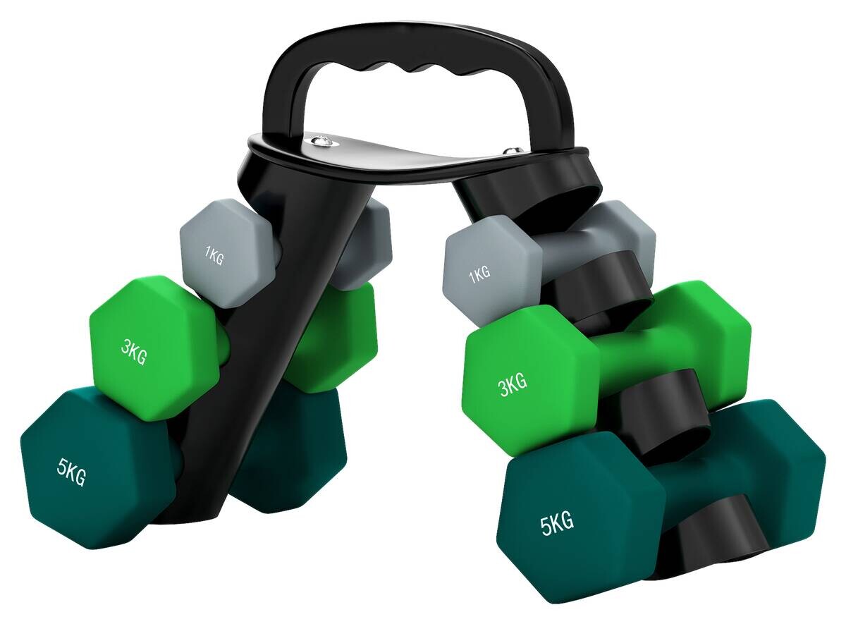 SPORTNOW Hantelset mehrfarbig Kunststoff B/H/L: ca. 10x30x42 cm