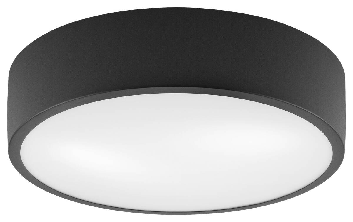 Lamkur Deckenleuchte Dante schwarz Stahl Glas H/L: ca. 8x37 cm E27 2 Brennstellen