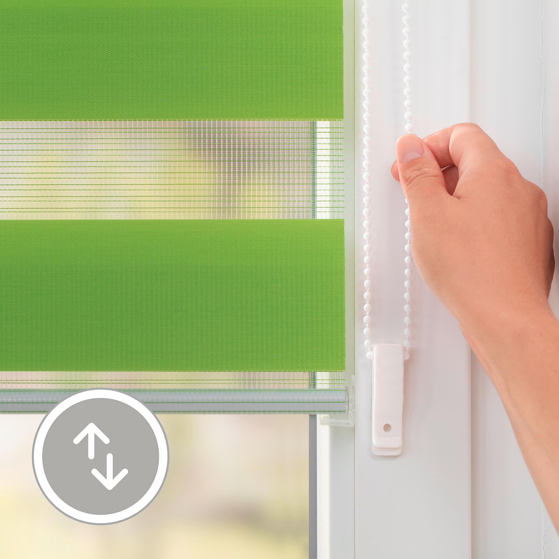 LICHTBLICK Doppelrollo Duo grün B/L: ca. 90x150 cm